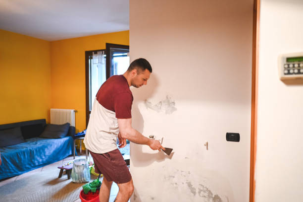 Best Commercial Mold Removal  in Plattsmouth, NE